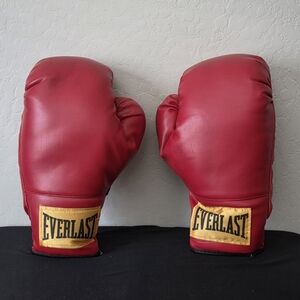 Everlast Boxing Gloves